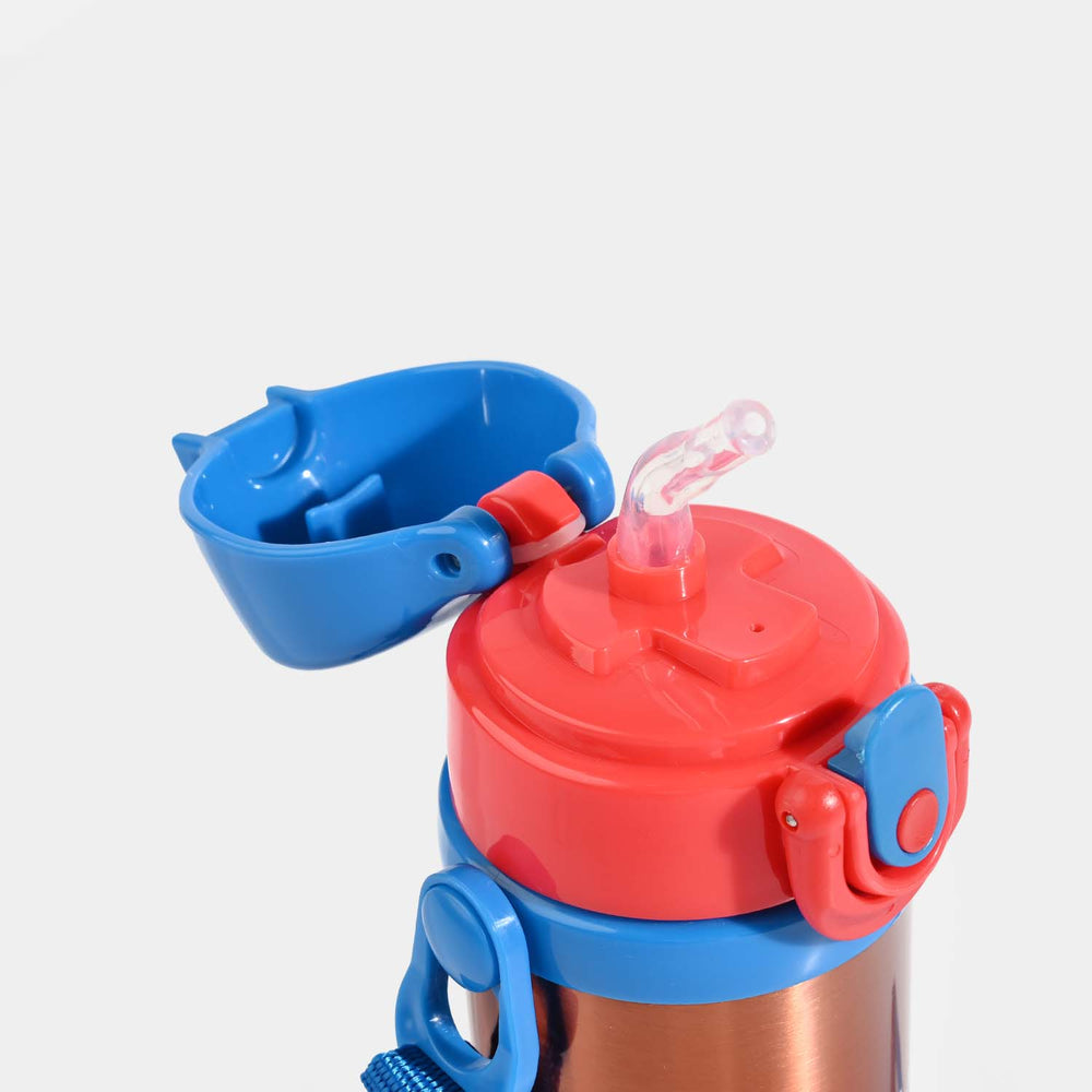 WATER BOTTLE STAINLESS STEEL | 500Ml