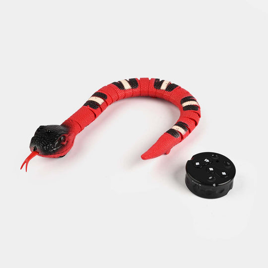 Remote Control Rattle Snake For Kids