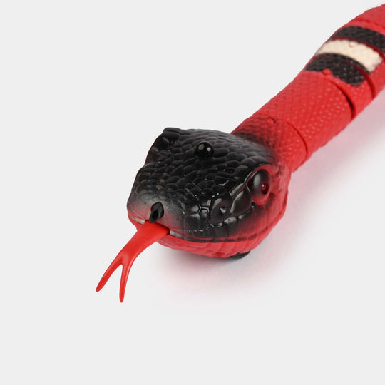 Remote Control Rattle Snake For Kids