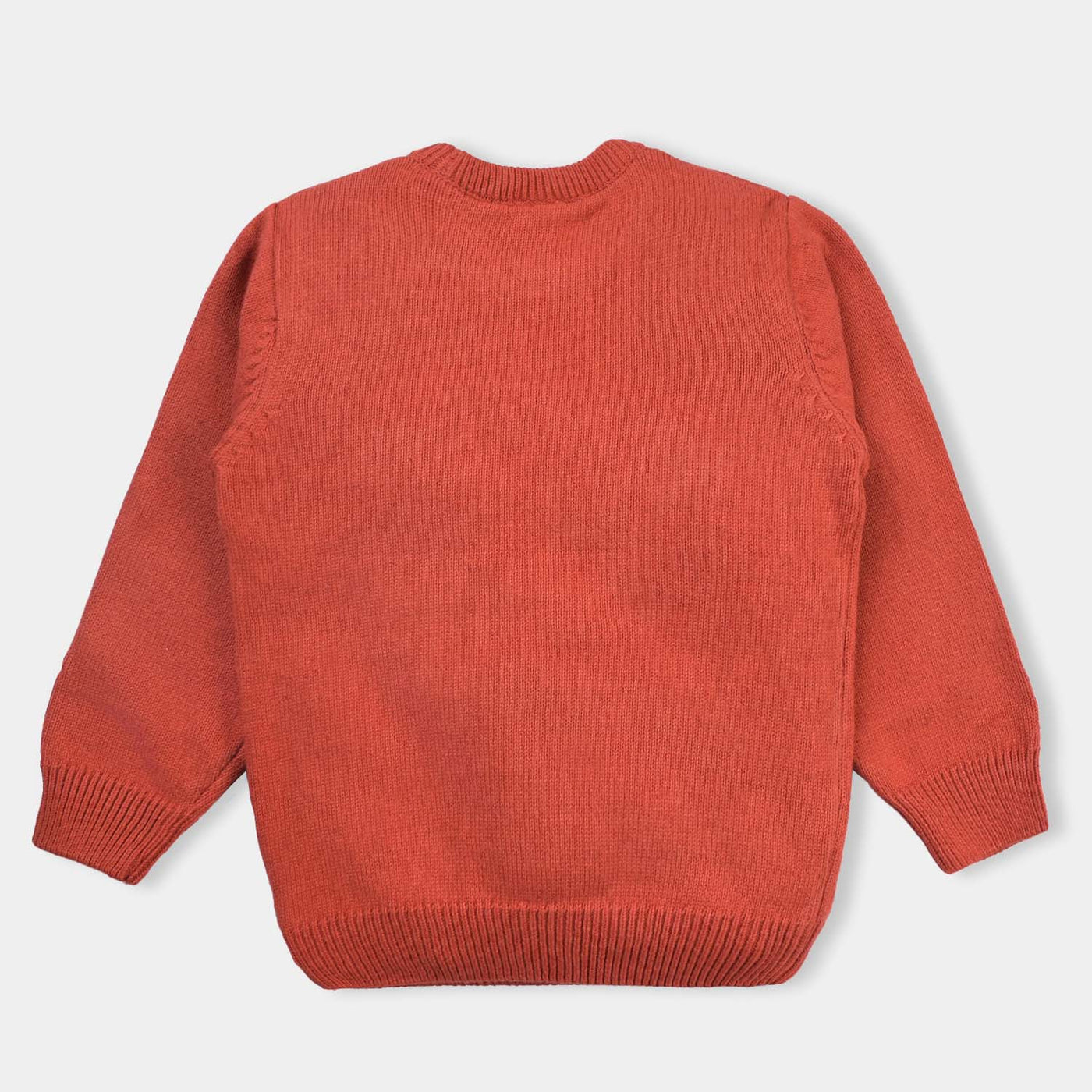 Boys Cotton Full Sleeves Sweater Embroidered-Rust
