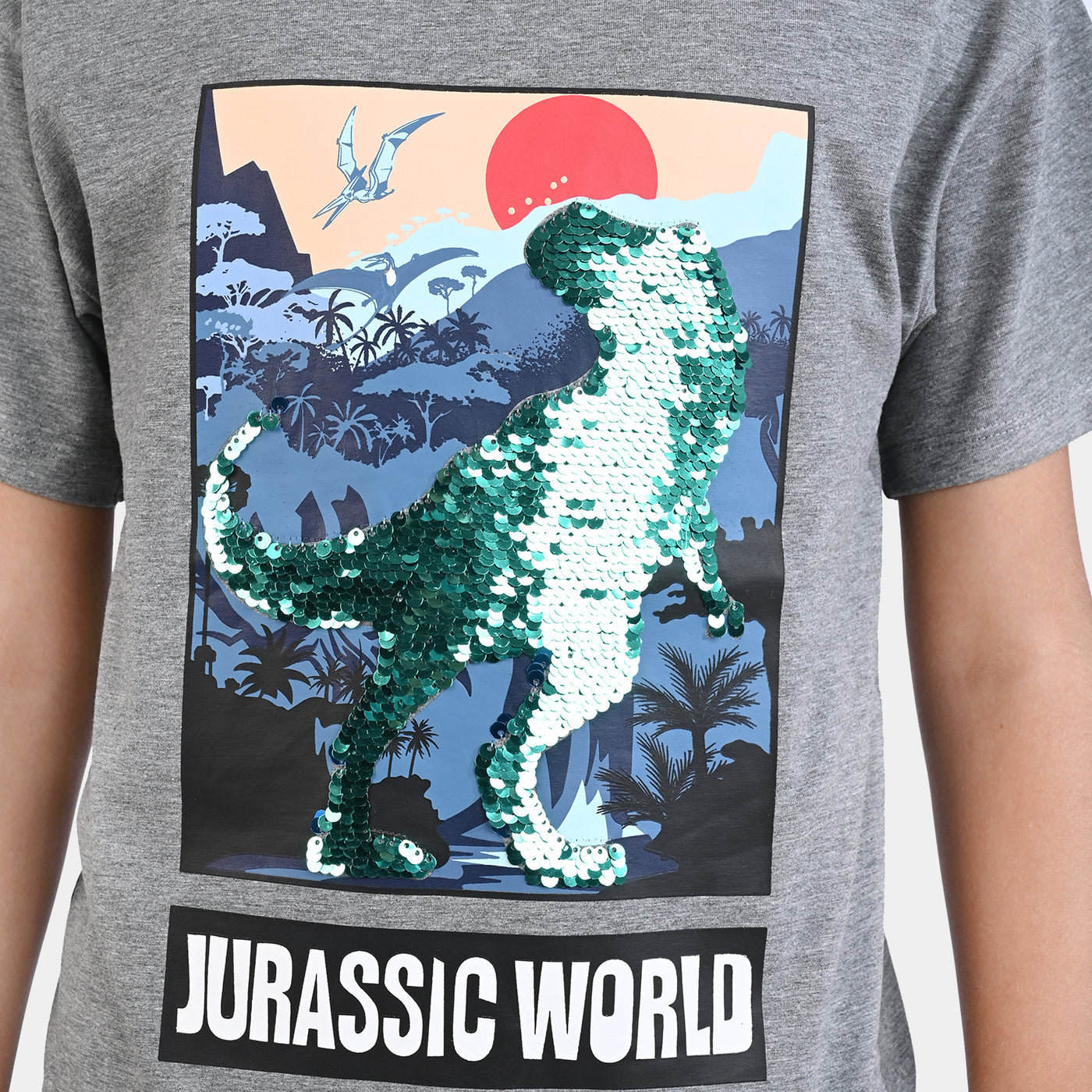Boys Lycra Jersey T-Shirt Dinosaur World-GREY