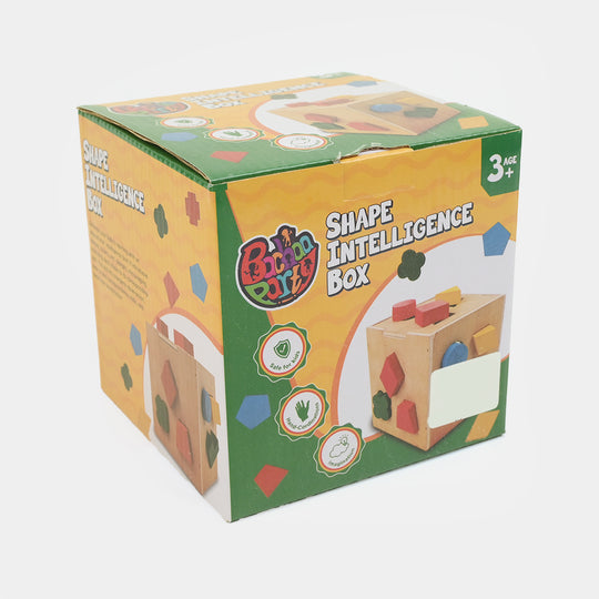 Multi Shape Intelligence Box Wooden Set