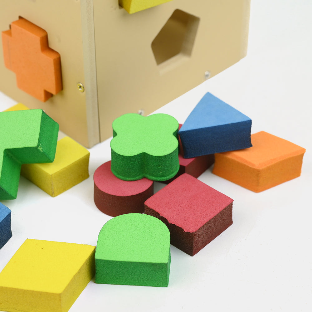 Multi Shape Intelligence Box Wooden Set