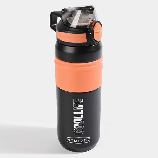 WATER BOTTLE STAINLESS STEEL | 650ml