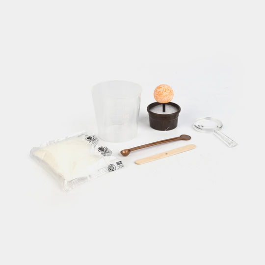 Magic Tree Crystal Growing Kit