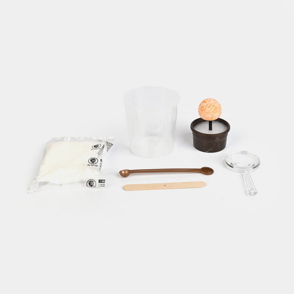 Magic Tree Crystal Growing Kit