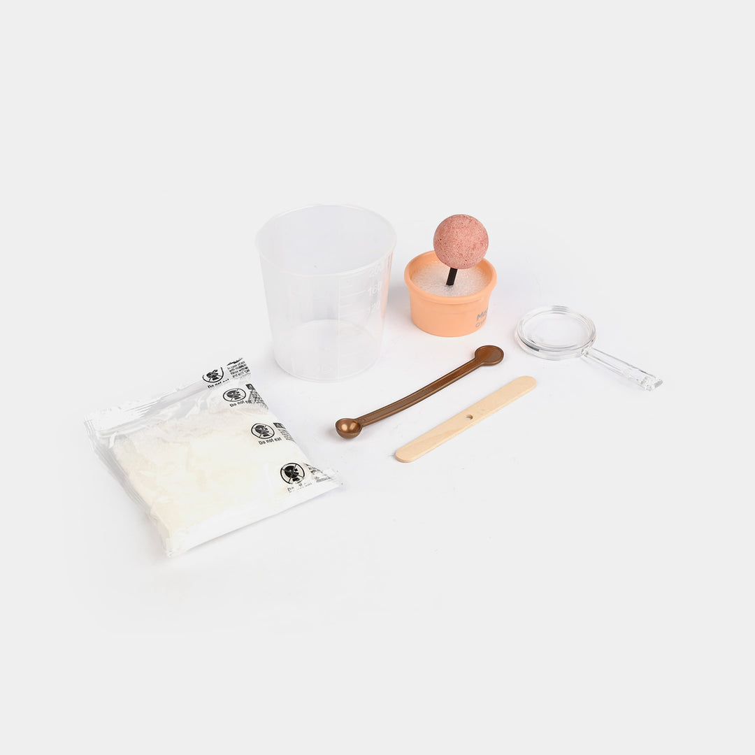 Magic Tree Crystal Growing Kit