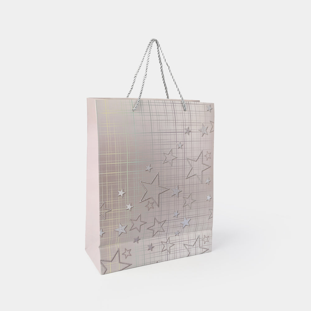 Stylish Gift Bags | Medium