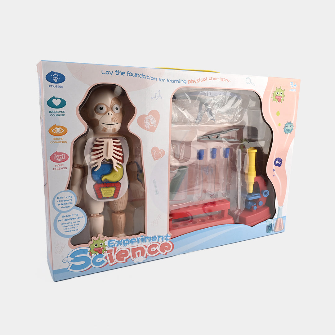 STEM Experiment Science Doctor Toy Educational Kit