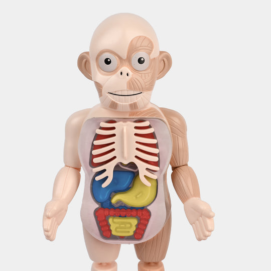 STEM Experiment Science Doctor Toy Educational Kit