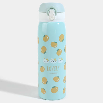 Water Bottle Stainless Steel | 500ml