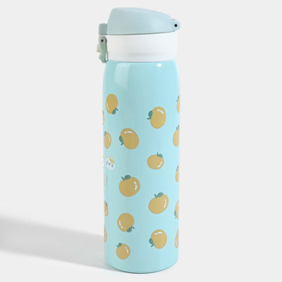 Water Bottle Stainless Steel | 500ml