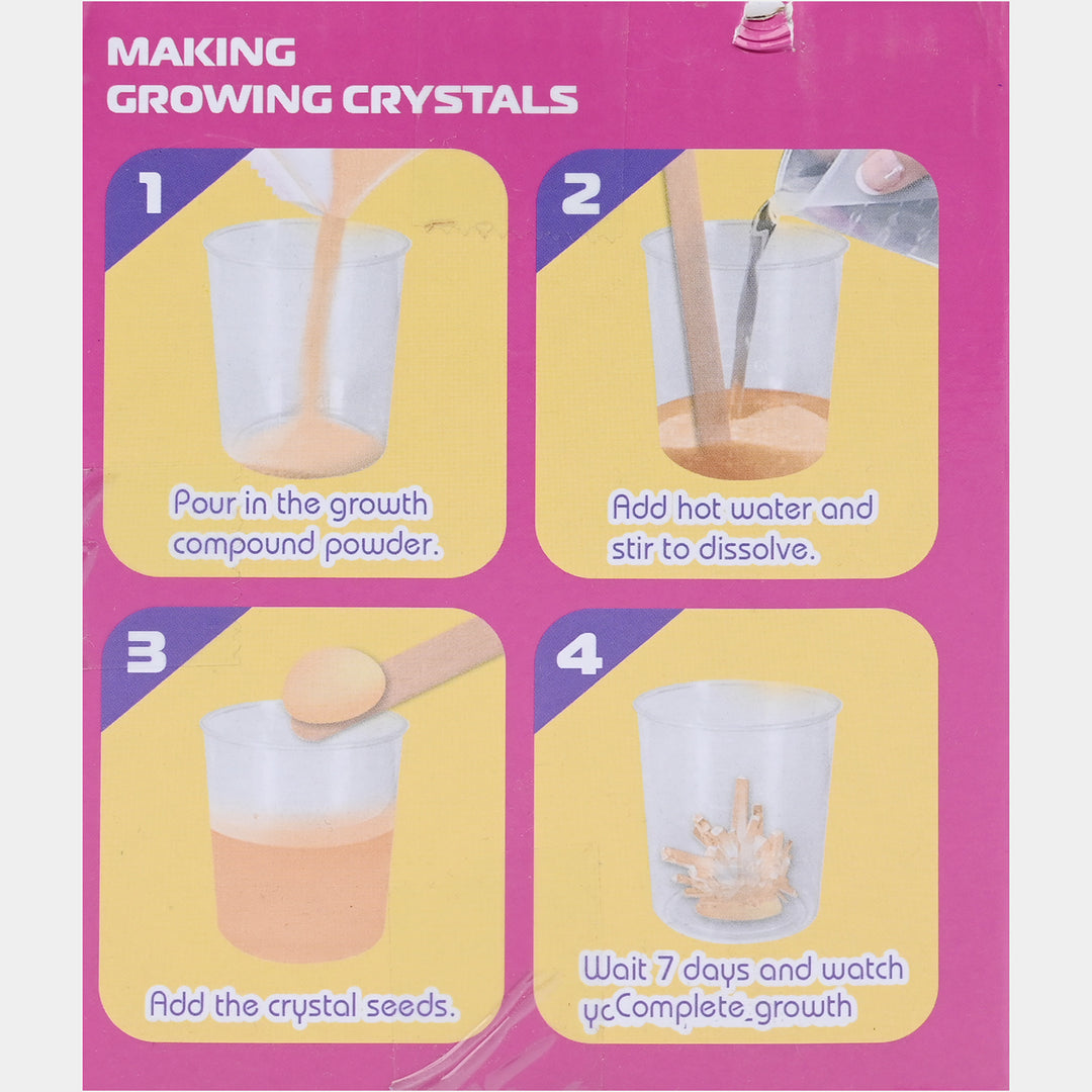 DIY Crystal Growing Terrarium Kit