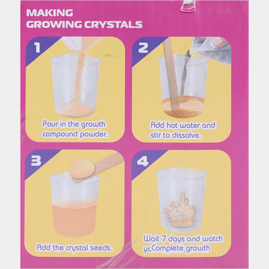 DIY Crystal Growing Terrarium Kit