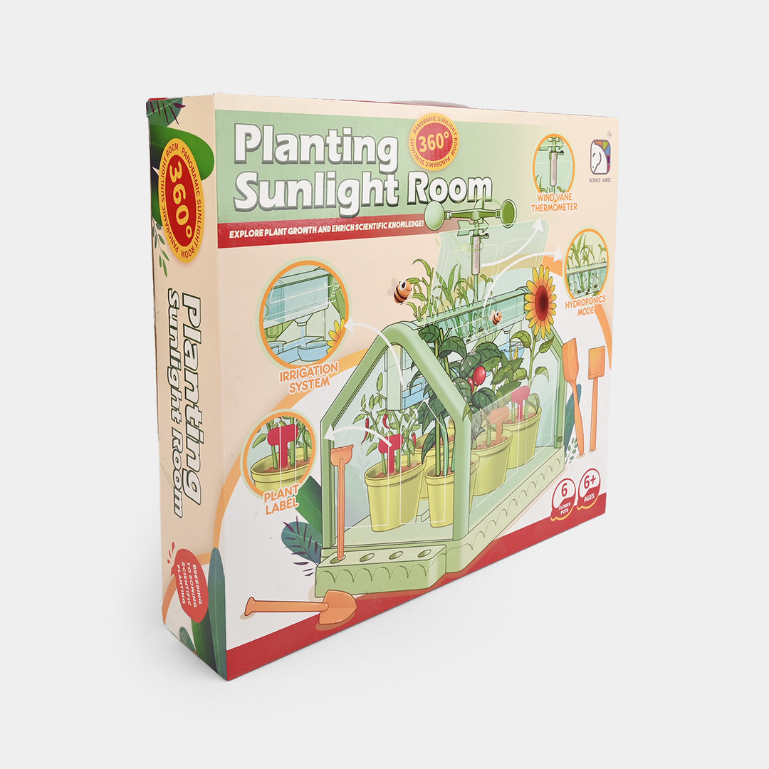 Planting Sunshine Room