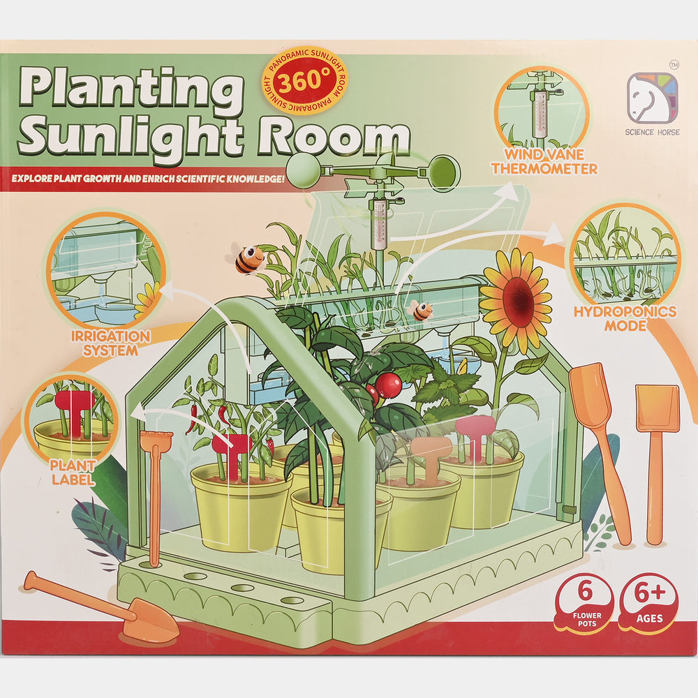 Planting Sunshine Room