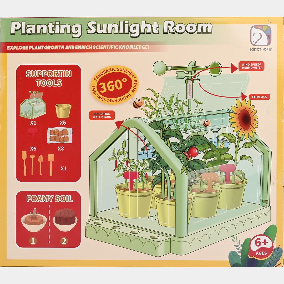 Planting Sunshine Room