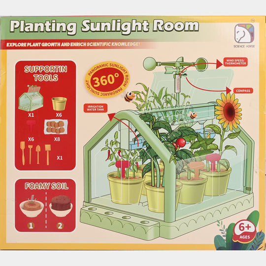 Planting Sunshine Room