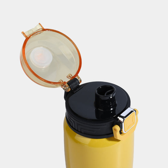 WATER BOTTLE STAINLESS STEEL | 550ml