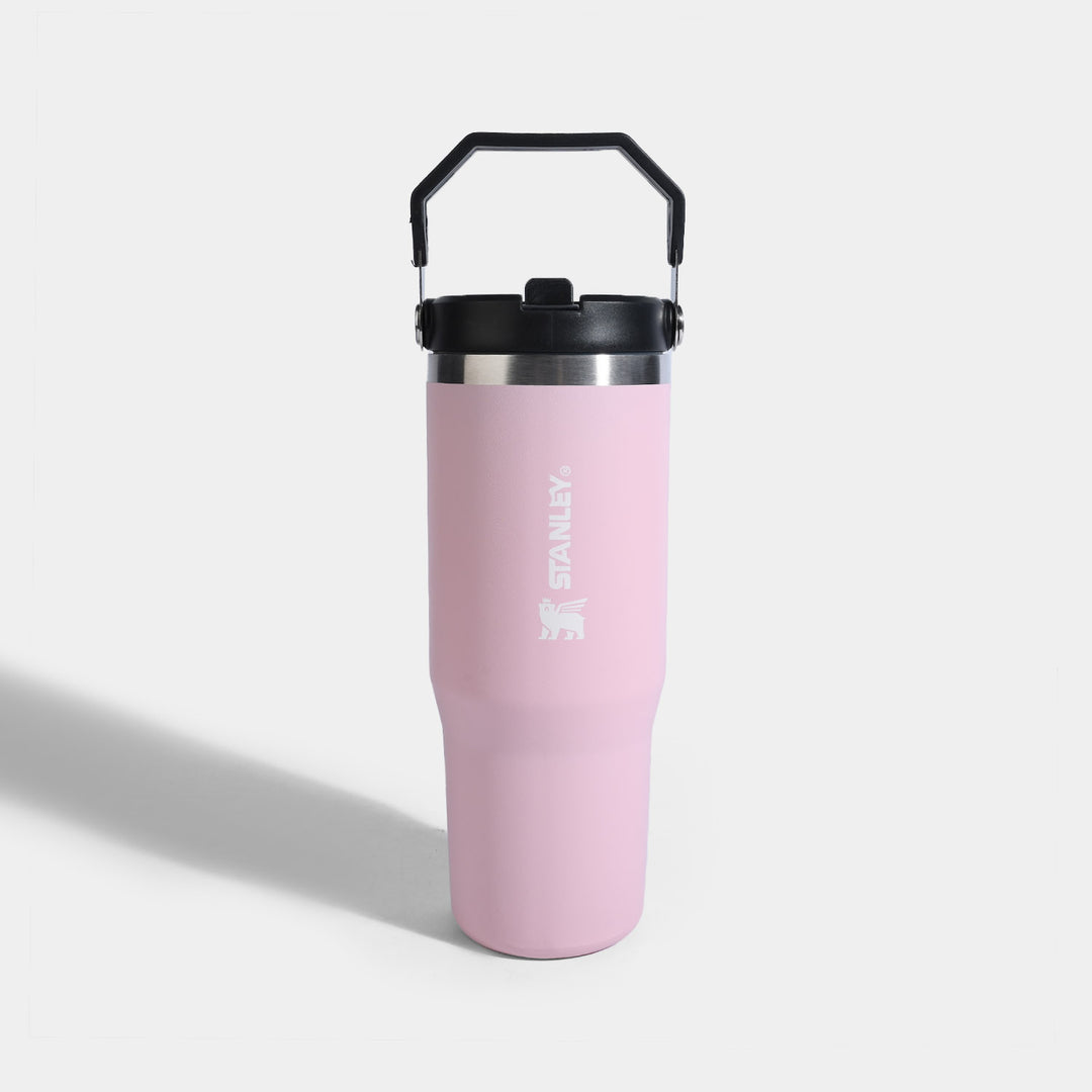 Stainless Steel Vacuum Insulated Mug/Tumbler