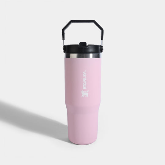 Stainless Steel Vacuum Insulated Mug/Tumbler