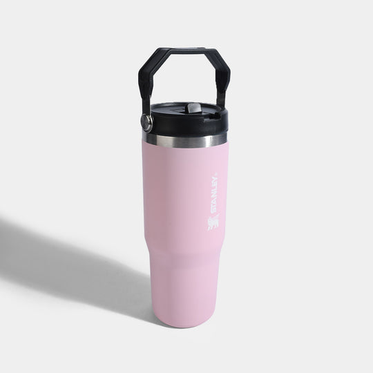 Stainless Steel Vacuum Insulated Mug/Tumbler