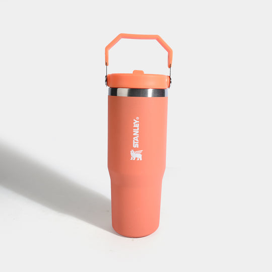 Stainless Steel Vacuum Insulated Mug/Tumbler