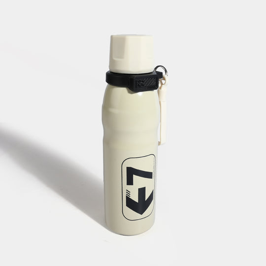 WATER BOTTLE STAINLESS STEEL | 650ml