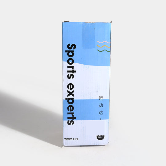 WATER BOTTLE STAINLESS STEEL | 650ml