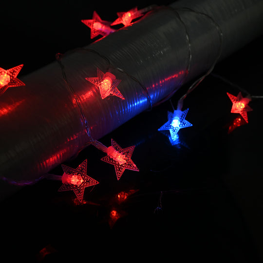 Decorative LED Multi Colors Light | 10Pcs