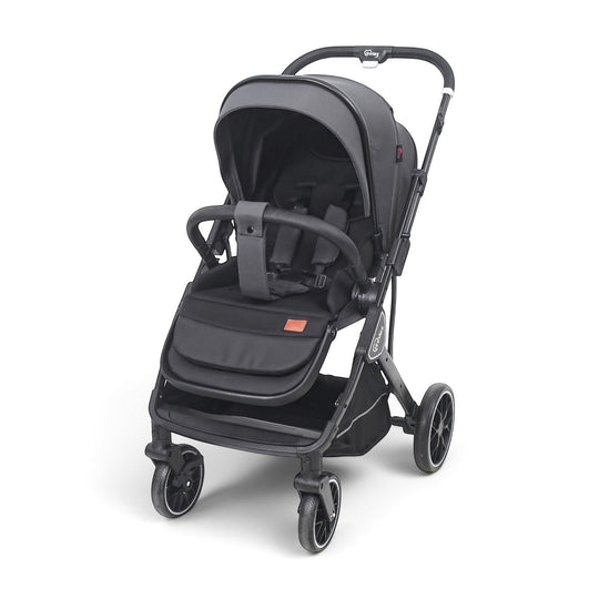 Stroller With Reversible Handle & Seat Grey T110-022