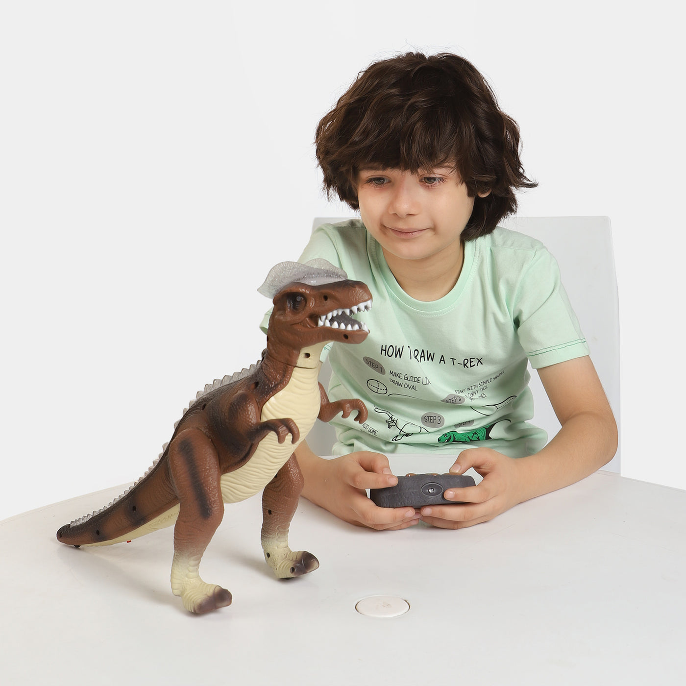 Dinosaur Remote Control with LED Light Toy for Kids