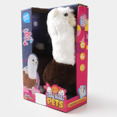 Pet Animal For Kids