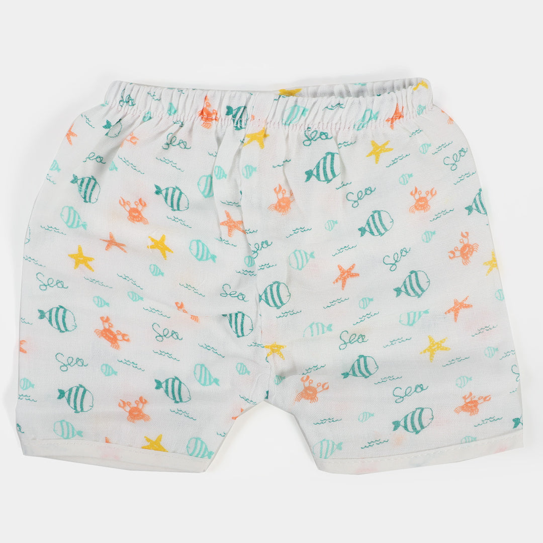 Baby Summer Panty Pack Of 3