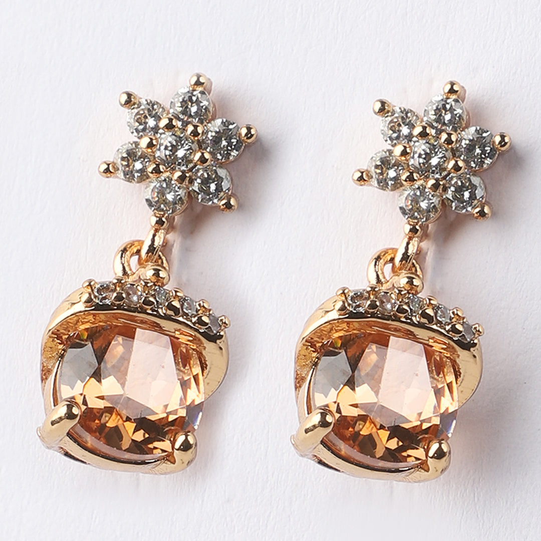 Fancy Elegant Earrings