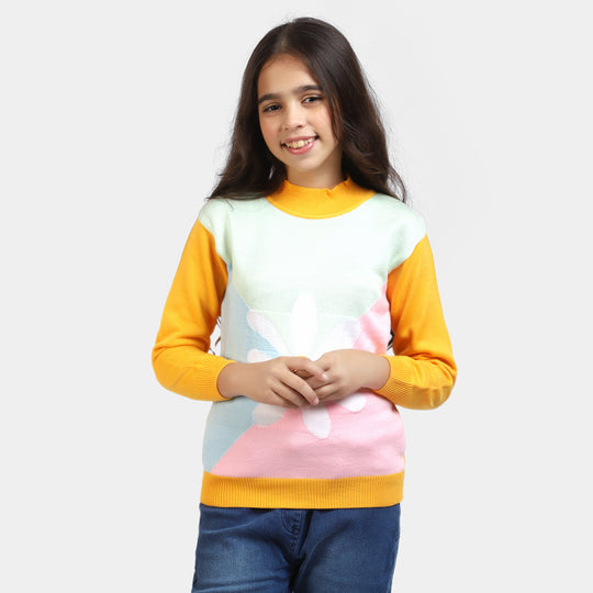 Girls Knitted Sweater -Multi