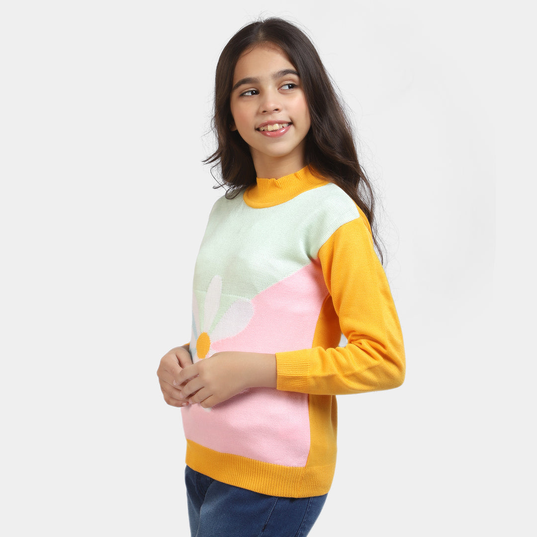 Girls Knitted Sweater -Multi