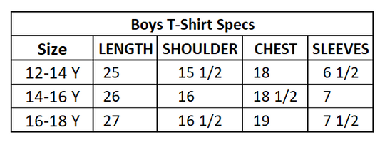 Teen Boys Cotton Jersey T-Shirt Goals-Citrus