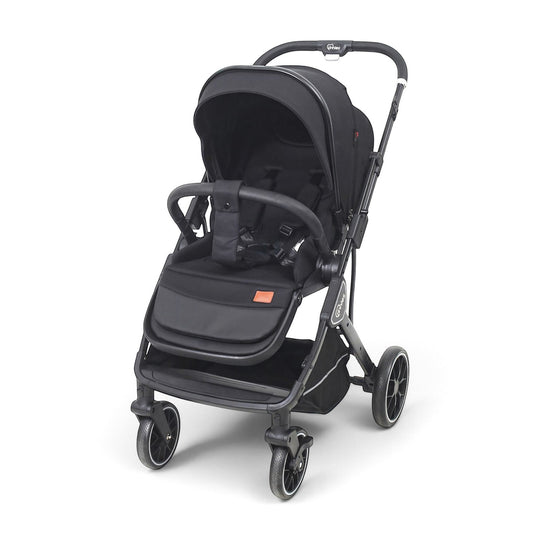 Stroller With Reversible Handle & Seat Black T110-016