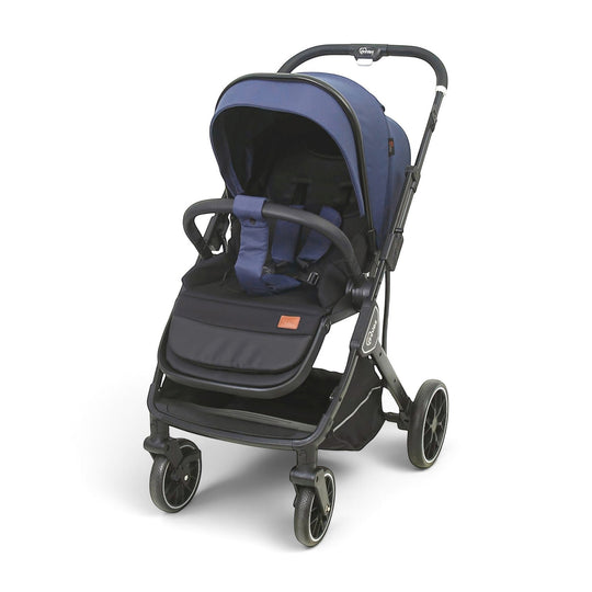 Stroller With Reversible Handle & Seat Blue T110-012