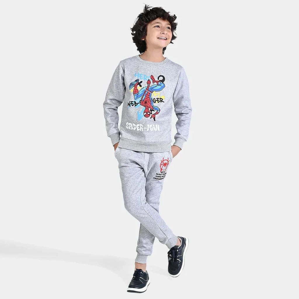 Boys Fleece 2 Piece Suit Amazing Character-Grey