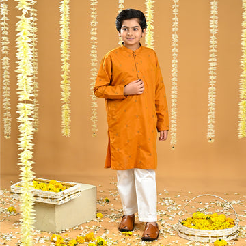 Boys Poly Viscose Embroidered Kurta-Citrus