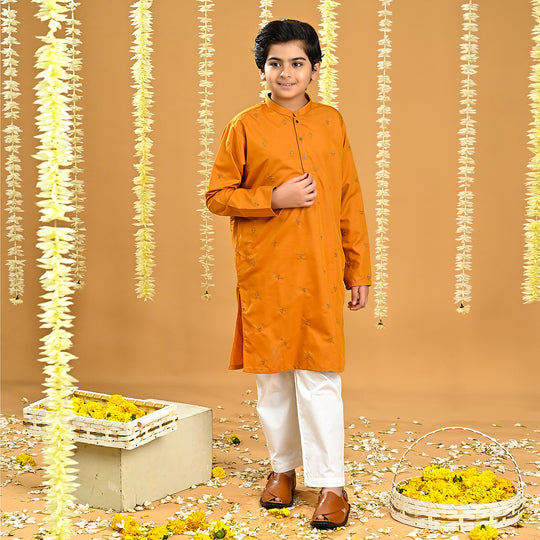 Boys Poly Viscose Embroidered Kurta-Citrus