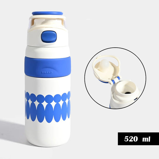 WATER BOTTLE STAINLESS STEEL | 520ml