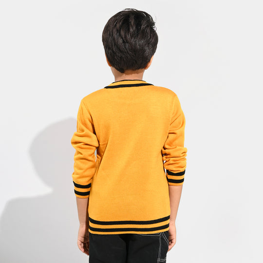 Boys Acrylic Sweater-Academy-Citrus