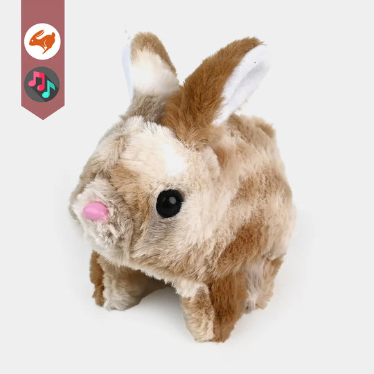 Sound Music & Walking Pet For Kids