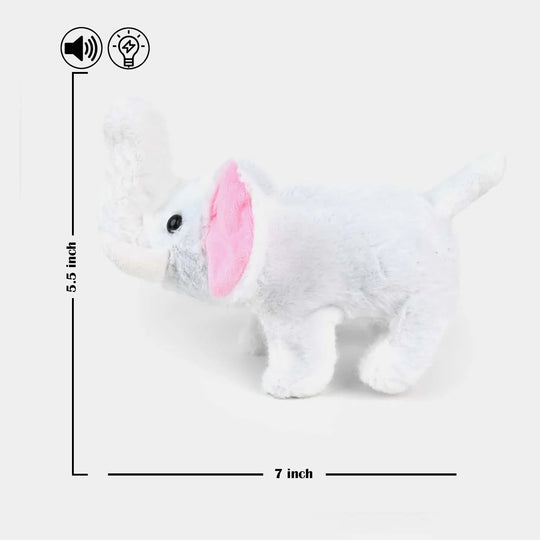 Sound Music & Walking Pet For Kids