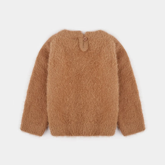 Infant Girls Feather yarn Sweater-Feather- Brown