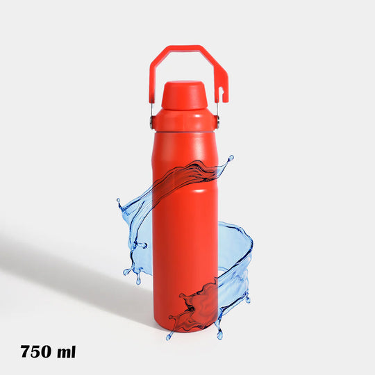WATER BOTTLE STAINLESS STEEL | 750Ml