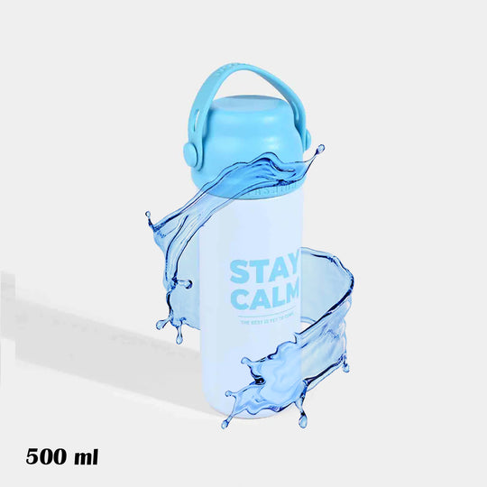 WATER BOTTLE STAINLESS STEEL | 500ML